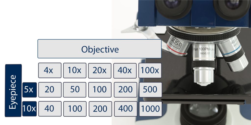 Calculate microscope magnification of the objective